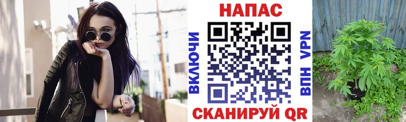 Конопля MAZAR  Ростов-на-Дону 